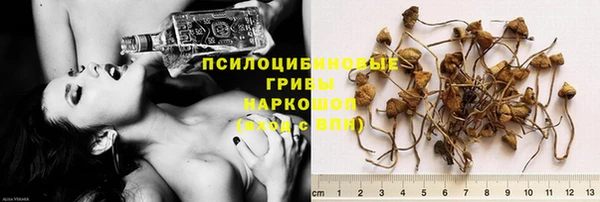 мдпв Корсаков
