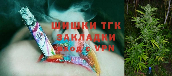 твердый Костерёво