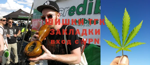 мдпв Корсаков