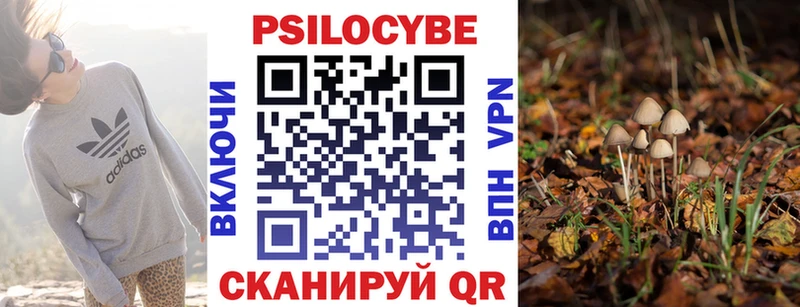 Псилоцибиновые грибы Psilocybine cubensis  Никольск 